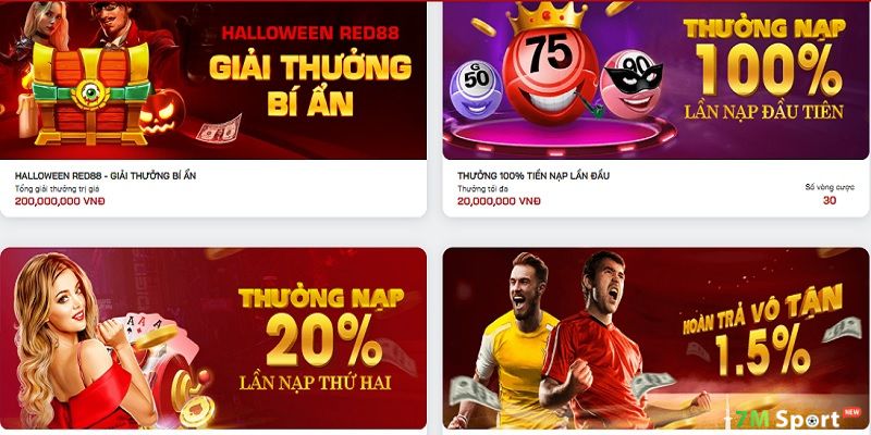 Cơ hội tăng vốn và tri ân thành viên thường xuyên